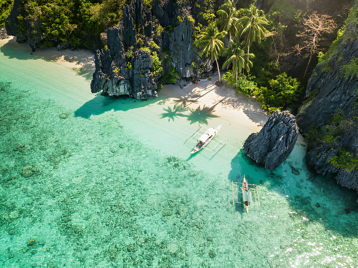 Tropical